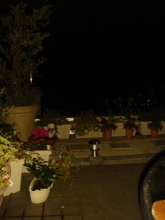 b0098584_1036949.jpg
