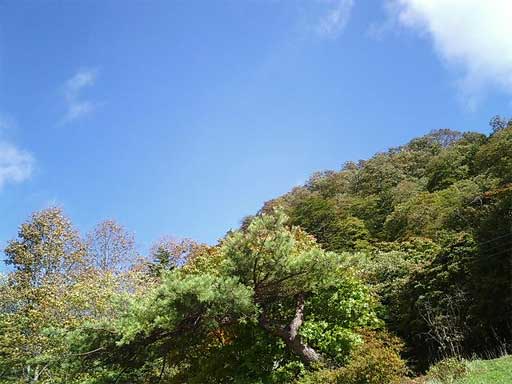 f0036603_2004252.jpg