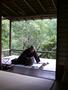 緑水茶会_a0056406_7505612.jpg