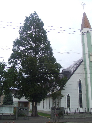 f0041606_19333747.jpg