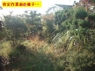 f0031037_1746266.jpg