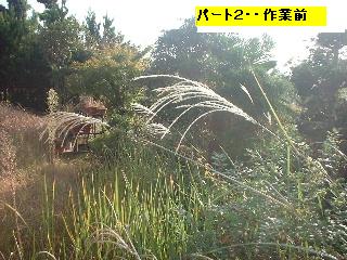 f0031037_1747085.jpg