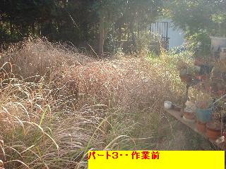f0031037_17472957.jpg