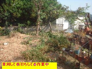 f0031037_17473747.jpg
