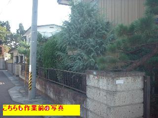 f0031037_17475917.jpg