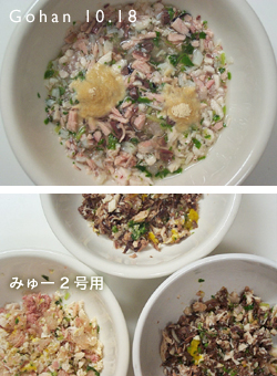 「またあの森へ行けるのかな…」_e0031853_905632.jpg