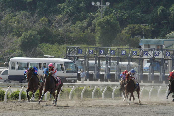 2006年10月15日（日） 高知競馬_a0077663_7184443.jpg