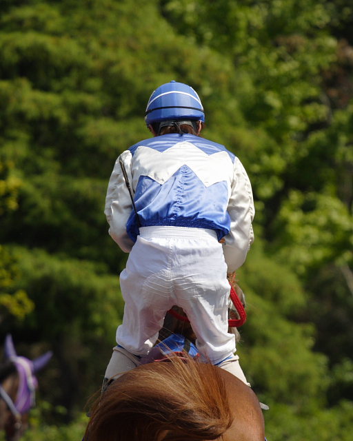 2006年10月15日（日） 高知競馬_a0077663_753391.jpg