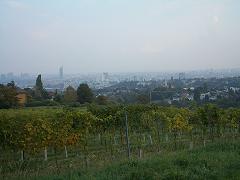 c0078071_0252775.jpg