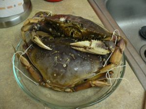 No.129　蟹一匹丸ごと！ダンジネスクラブ（Dungeness Crab）_f0097972_10111943.jpg