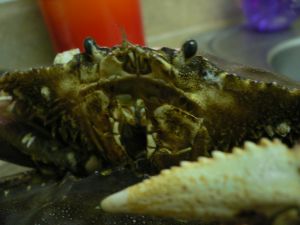 No.129　蟹一匹丸ごと！ダンジネスクラブ（Dungeness Crab）_f0097972_1054585.jpg