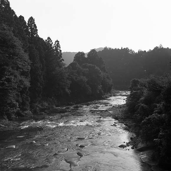 d0045383_12271044.jpg