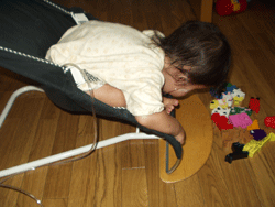 b0076085_559302.gif