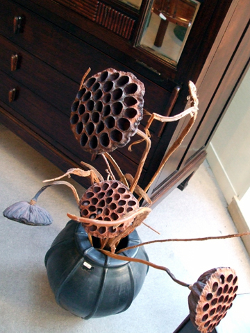 e0034994_2343734.jpg