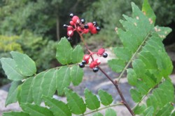 f0027396_1247414.jpg
