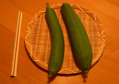 事務所のナーベーラー（ヘチマ）・・・収穫第1号_b0014003_13561345.jpg