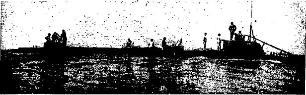 f0028703_21335111.jpg