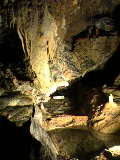 b0105711_948411.jpg