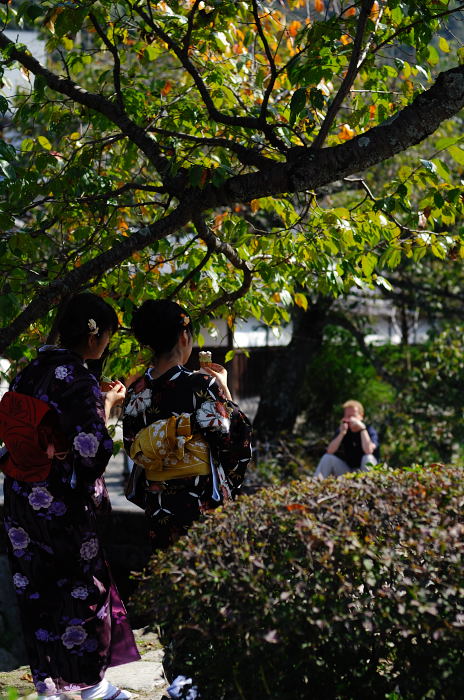快晴!こんな日は当ても無くブラブラ♪_f0032011_2225653.jpg