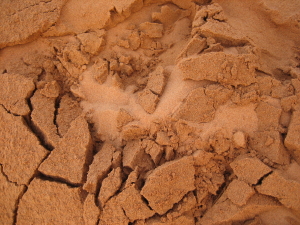 f0097620_21495730.jpg