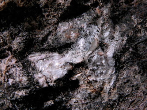 d0045626_8241533.jpg