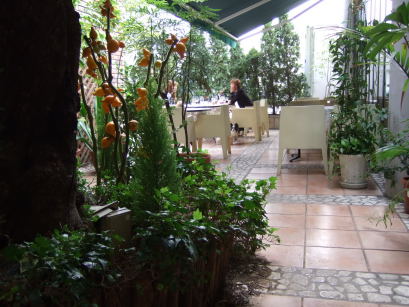 d0046031_237434.jpg