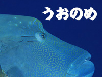 f0099247_11304228.jpg