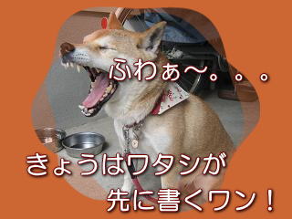 年女の誕生日_c0049950_2344529.jpg