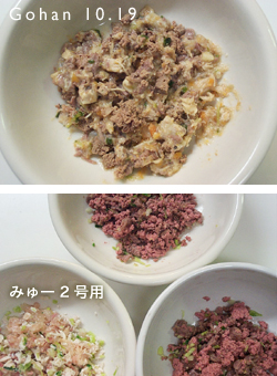 今日のデブちゃんず_e0031853_1132390.jpg
