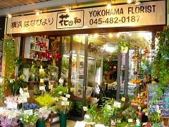 c0096467_2064046.jpg