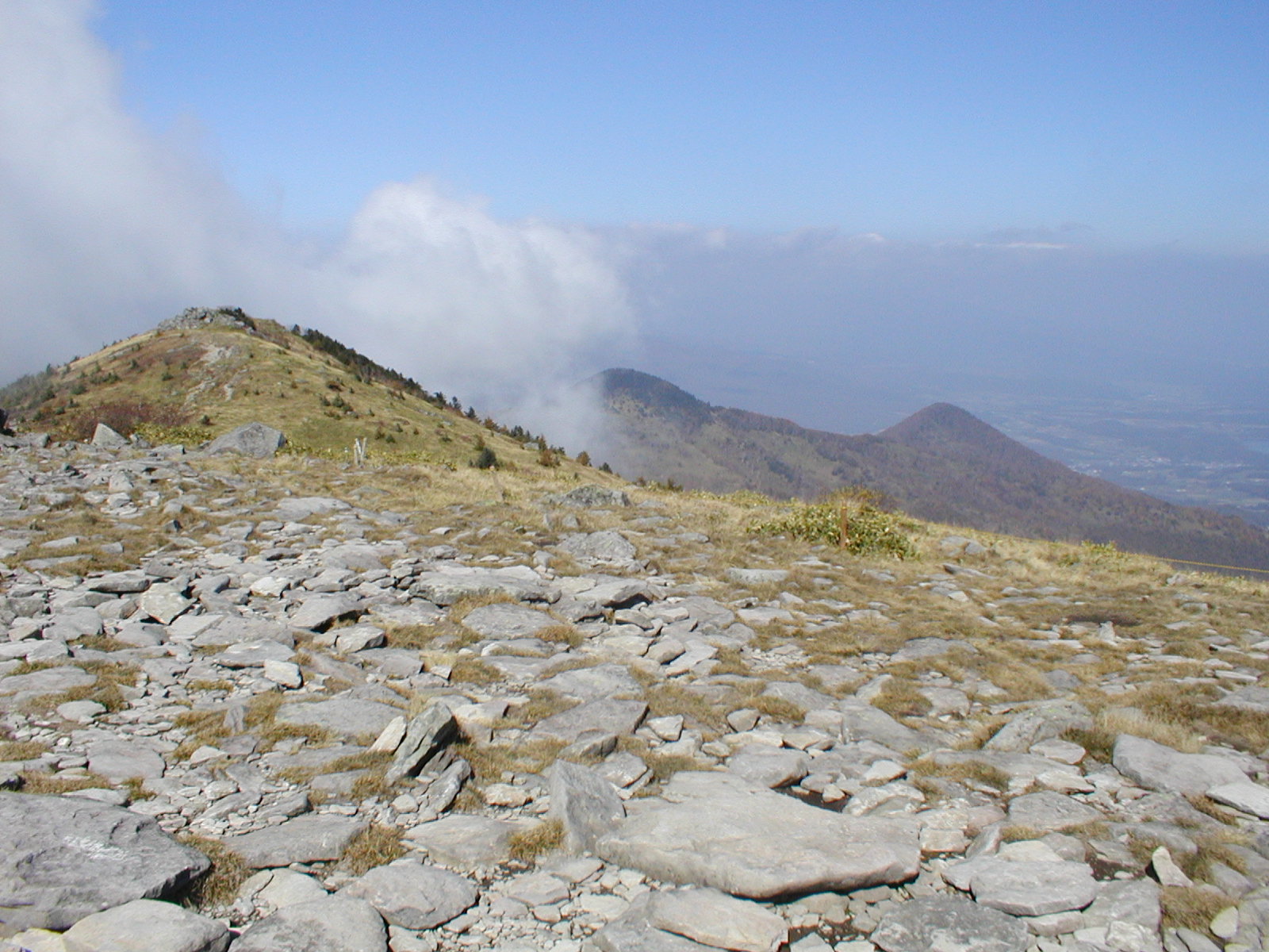 a0094280_16394212.jpg
