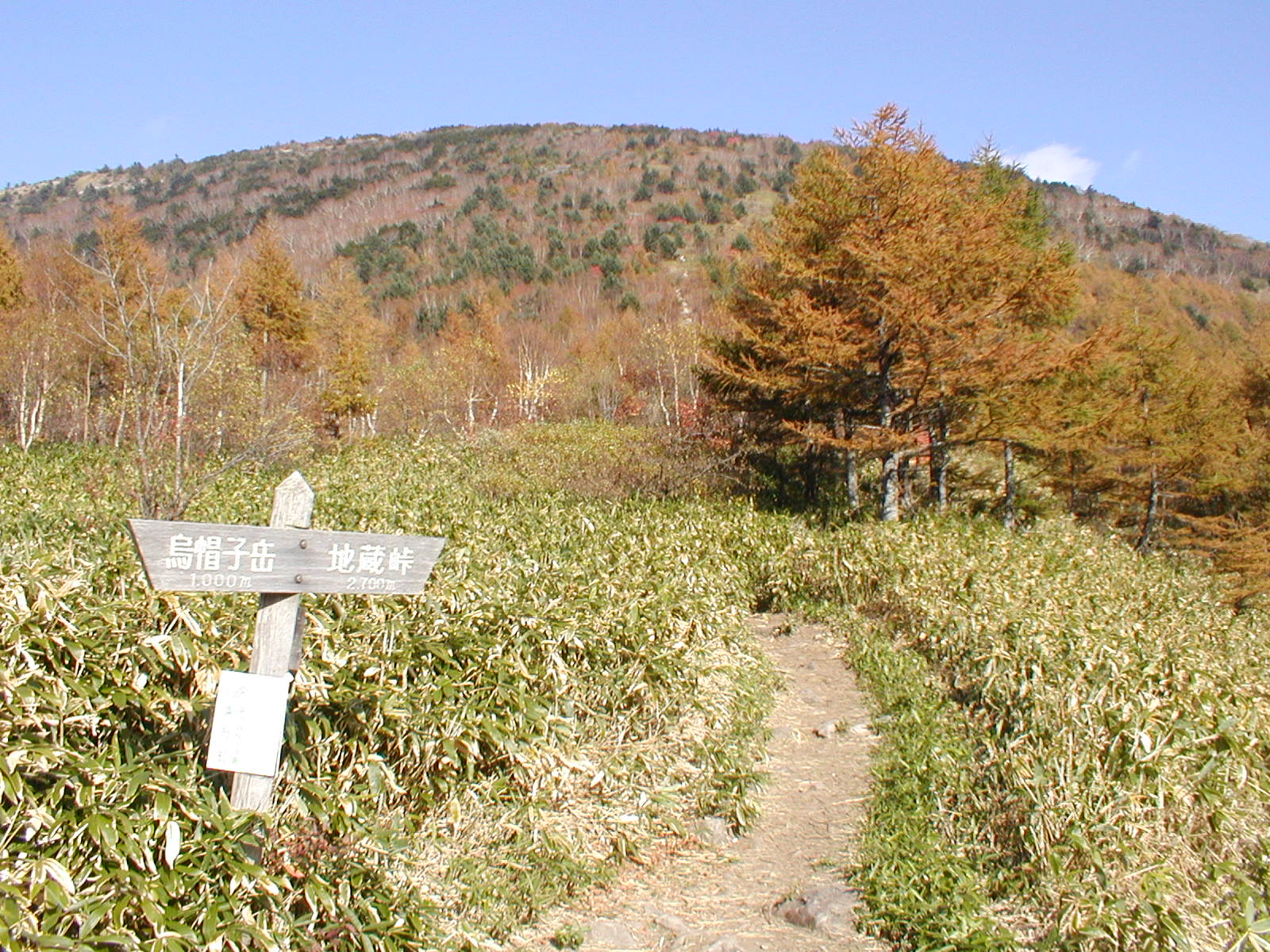a0094280_16483234.jpg