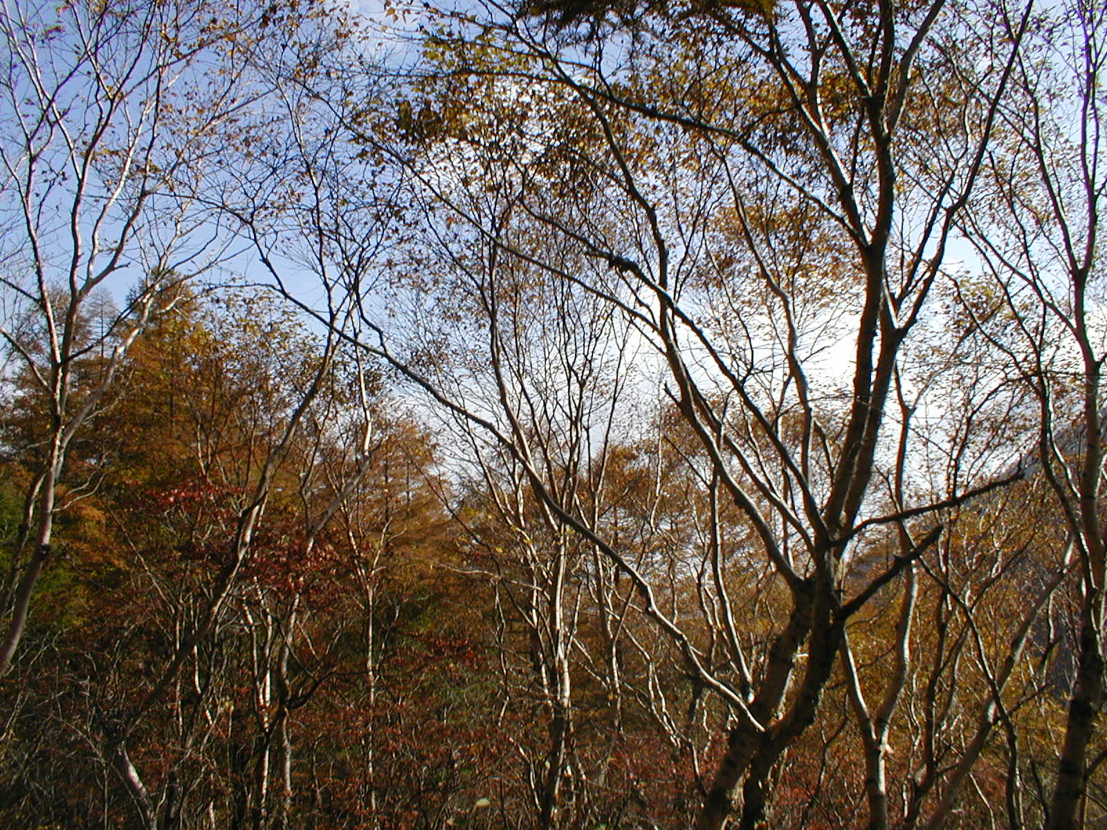 a0094280_16494934.jpg