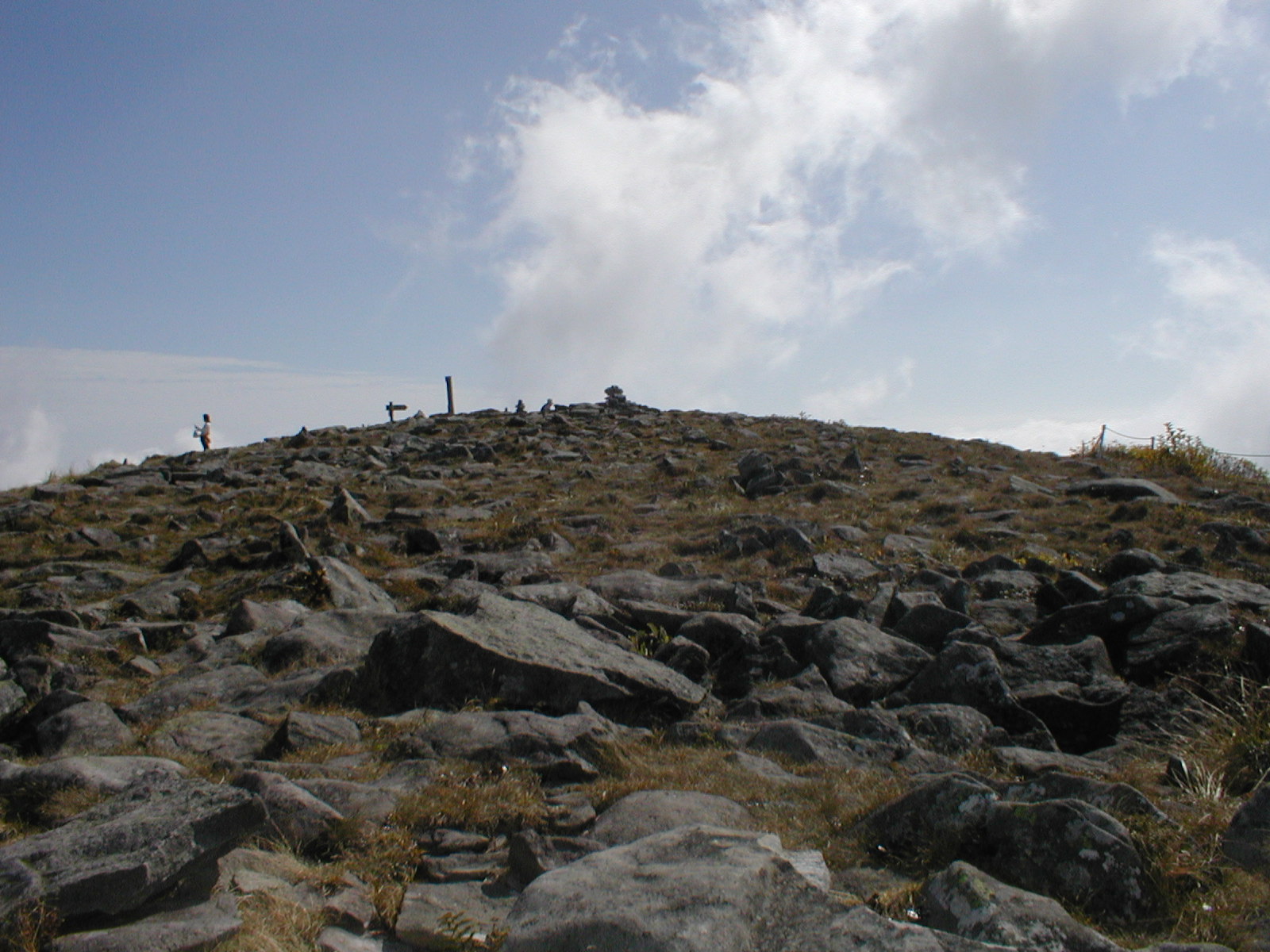 a0094280_1657409.jpg