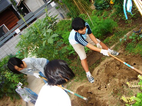 小学生の（野菜栽培体験）を応援します！！_b0090081_18531518.jpg