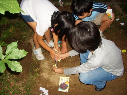 小学生の（野菜栽培体験）を応援します！！_b0090081_18532543.jpg