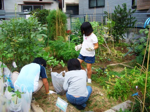 小学生の（野菜栽培体験）を応援します！！_b0090081_1853418.jpg