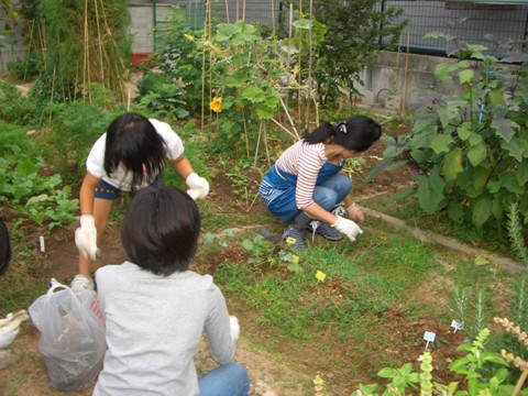 小学生の（野菜栽培体験）を応援します！！_b0090081_18593819.jpg