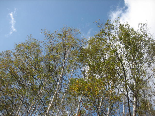 b0097183_19524150.jpg