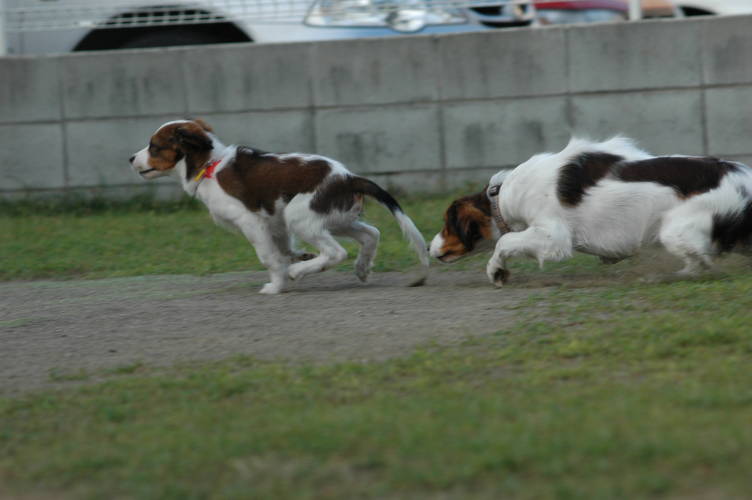 c0075585_8394890.jpg