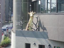 ♪10月19日 木曜日♪_d0079988_1518305.jpg