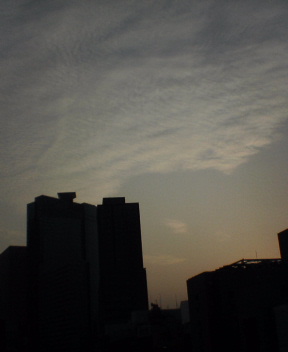 b0054498_142425.jpg