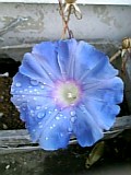 e0098908_1973353.jpg