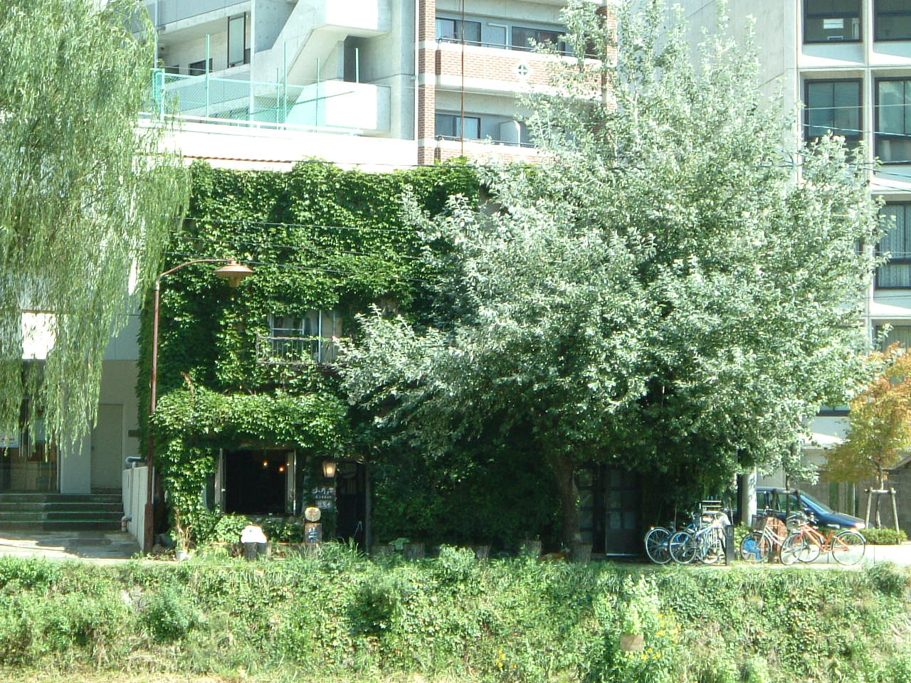 e0100210_202419.jpg