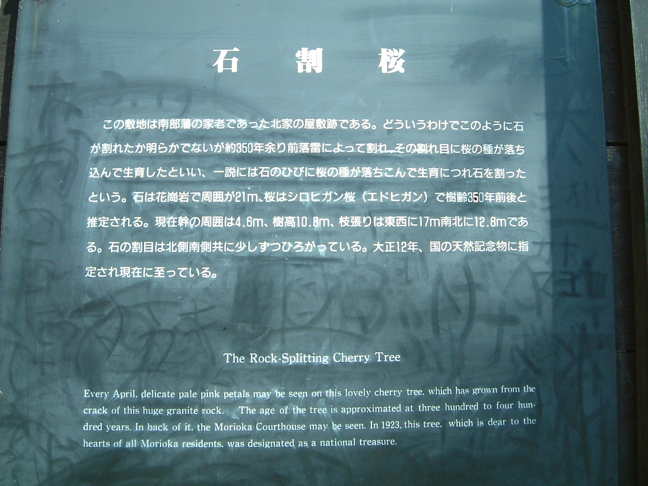 e0100210_222396.jpg