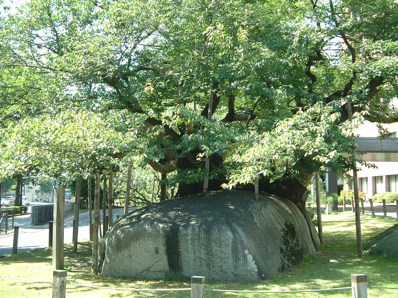 e0100210_223786.jpg