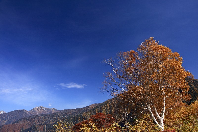 「秋色の立山黒部アルペンルートと上高地」２日目_d0029333_18581290.jpg