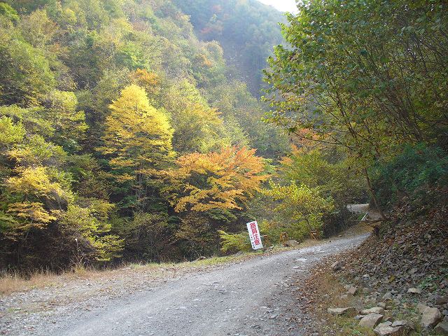 a0044456_22414.jpg