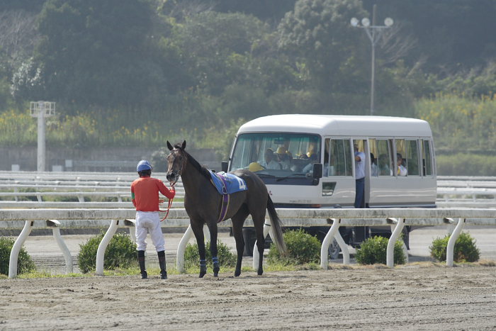 2006年10月14日（土） 高知競馬_a0077663_173560.jpg