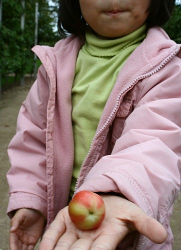 f0023570_53166.jpg